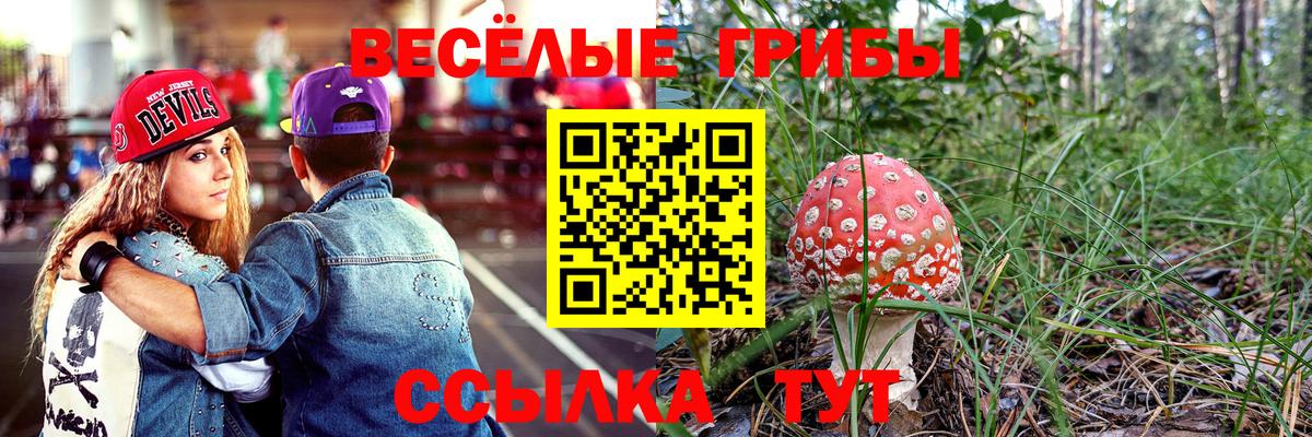 Псилоцибиновые грибы GOLDEN TEACHER Когалым